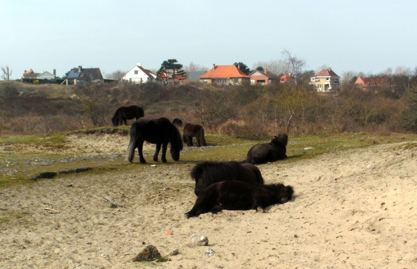 oostduinkerke