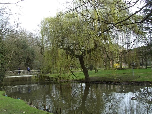 Gentbrugge.20110320 004 (Medium)