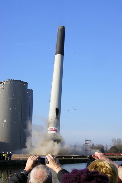 De vogels verlaten hun post