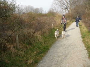 110320.OOSTDUINKERKE.HONDEN TRAINING