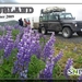 IJSLAND 300pic  0001