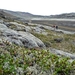 IJSLAND 300pic  0011