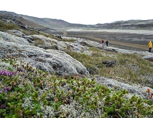IJSLAND 300pic  0011