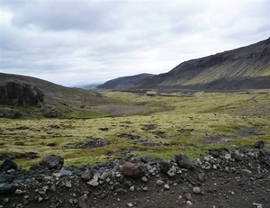 IJSLAND 300pic  0019