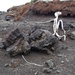 IJSLAND 300pic  0022