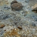 IJSLAND 300pic  0031