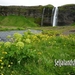 IJSLAND 300pic  0041