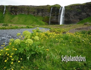IJSLAND 300pic  0041