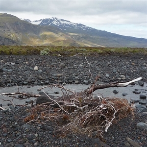 IJSLAND 300pic  0050