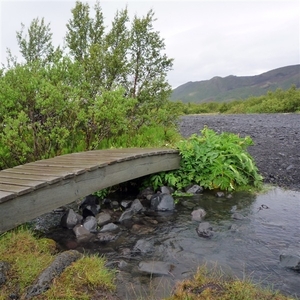 IJSLAND 300pic  0070