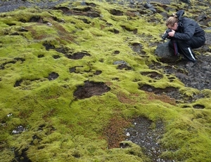 IJSLAND 300pic  0096