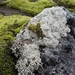 IJSLAND 300pic  0103