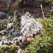 IJSLAND 300pic  0104