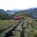 IJSLAND 300pic  0107