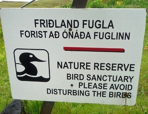IJSLAND 300pic  0125