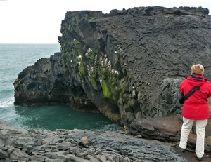 IJSLAND 300pic  0128