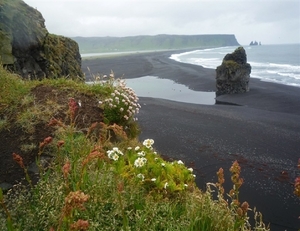 IJSLAND 300pic  0129