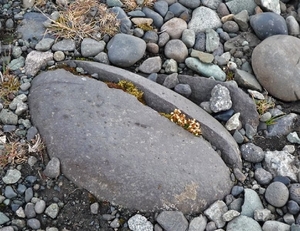 IJSLAND 300pic  0130