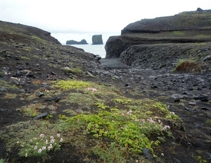 IJSLAND 300pic  0132