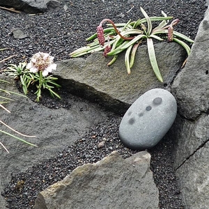 IJSLAND 300pic  0137