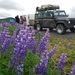IJSLAND 300pic  0153