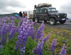 IJSLAND 300pic  0153