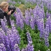 IJSLAND 300pic  0154