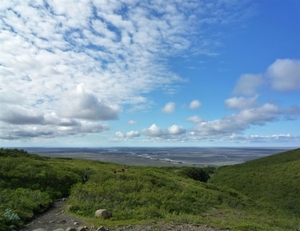 IJSLAND 300pic  0172