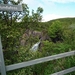 IJSLAND 300pic  0173