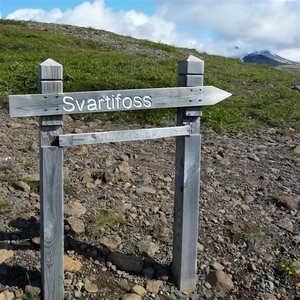 IJSLAND 300pic  0176