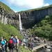 IJSLAND 300pic  0179