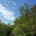 IJSLAND 300pic  0181