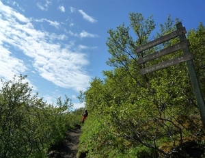 IJSLAND 300pic  0181