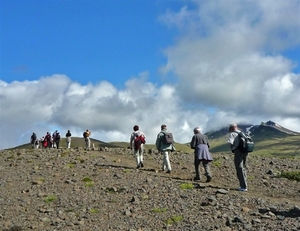 IJSLAND 300pic  0183