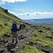 IJSLAND 300pic  0209