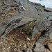 IJSLAND 300pic  0216