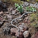 IJSLAND 300pic  0218