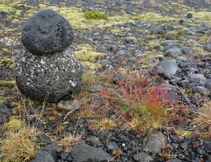 IJSLAND 300pic  0220