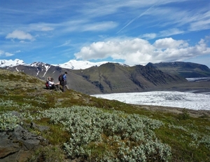 IJSLAND 300pic  0221