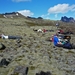 IJSLAND 300pic  0224