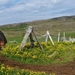 IJSLAND 300pic  0257