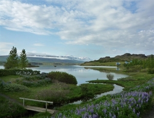 IJSLAND 300pic  0258