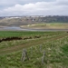 IJSLAND 300pic  0263