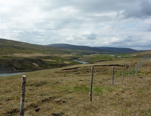IJSLAND 300pic  0269