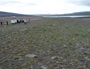 IJSLAND 300pic  0273