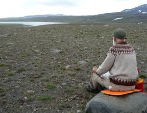 IJSLAND 300pic  0276