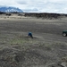 IJSLAND 300pic  0294