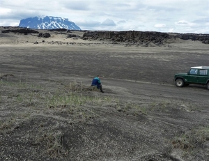 IJSLAND 300pic  0294