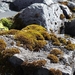 IJSLAND 300pic  0306