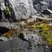 IJSLAND 300pic  0308